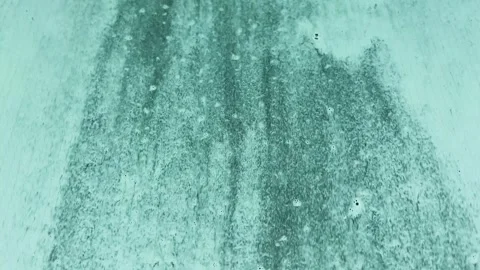 See the stunning automatic car wash from the windshield view Video stock 314363673