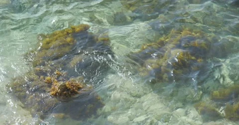 See-Through water waves beach Stock Footage