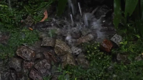 See the water falling Stock Footage 316734798