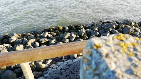 Seea, Stones Stock Footage 97425252