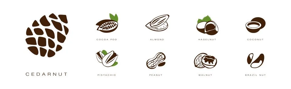 Seed and Nuts Brown Flat Icon with Name and Inscription Vector Set Illustrazione stock