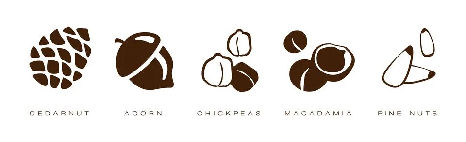 Seed and Nuts Brown Flat Icon with Name and Inscription Vector Set Stock Illustration