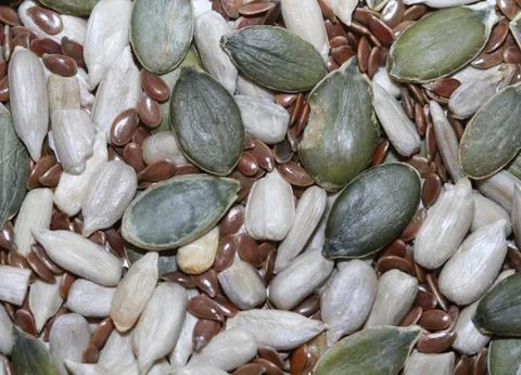 Seed background Photos