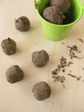 Seed balls Stock Photos