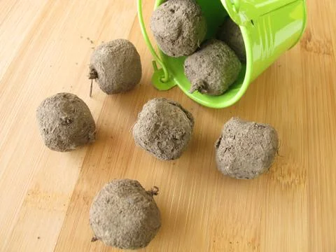 Seed balls Foto stock