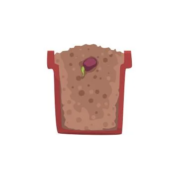Seed of a bean germinating in a pot with ground soil, stage of growth, pot in a Stock Illustration