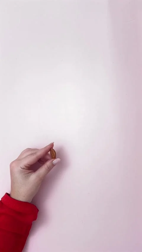 From a seed to bloom stop motion Stock Footage 296536003