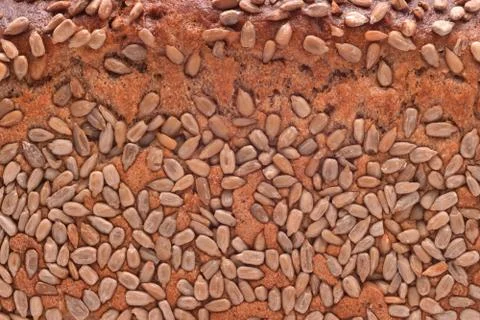 Seed bread texture Stock Photos