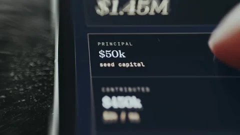 Seed capital value shown in USD currency format Stock Footage 335493907