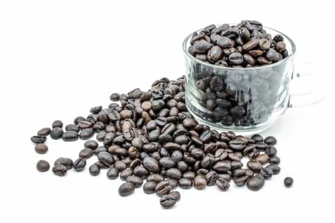 Seed coffee in white background Stock Photos