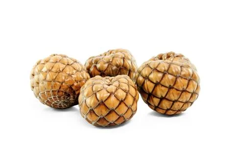 Seed fruit isolated Stock Photos