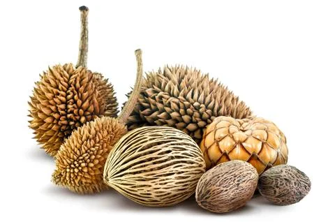 Seed fruit isolated on white background Stock Photos