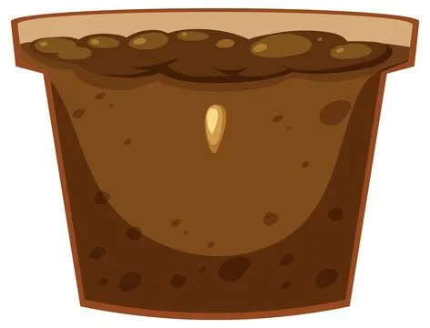 Seed germination process concept Stock Illustration