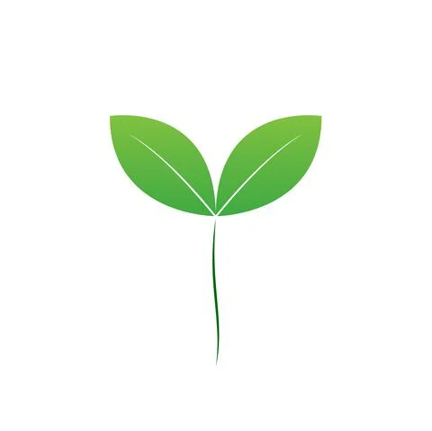 A seed of green leaf vector, micro green seed icon design and fresh natural  Stock Illustration