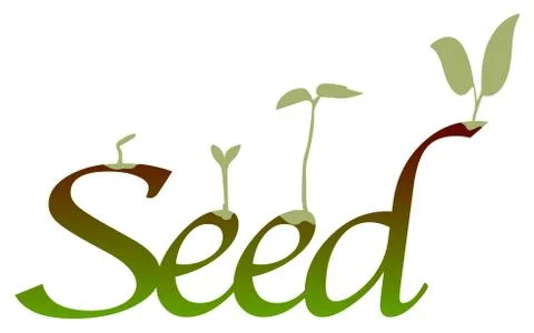 Seed Stock Illustration