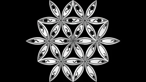 SEED OF LIFE 3D ANIMATION. Video stock 78056947