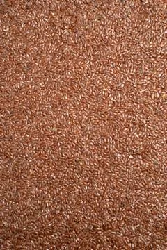 Seed of lint Stock Photos