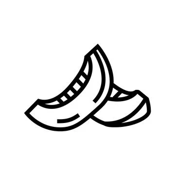 Seed melon slice cantaloupe line icon vector illustration Stock Illustration