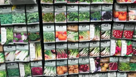 Seed packets on display in store Stock Footage 174432779