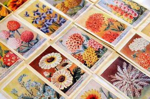 Seed packets-flowers Stock Photos