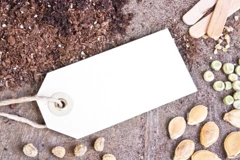 Seed Stock Photos