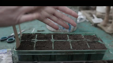 Seed Planting Stock Footage 178617916