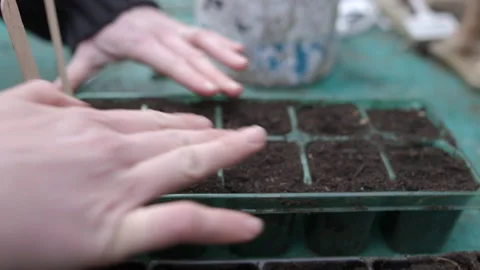 Seed Planting Stock Footage 178802338