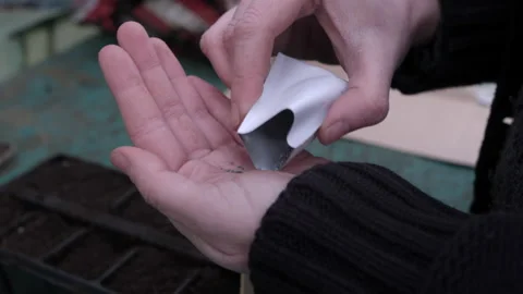 Seed Planting Stock Footage 178807856