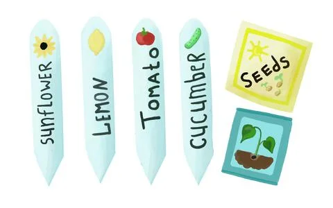 Seed. pointers of seedling name Stock Illustration