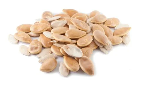 Seed of pumpkin Stock Photos