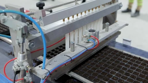 From Seed to Seedling. Seeding Lines. Stock-Footage 268720809