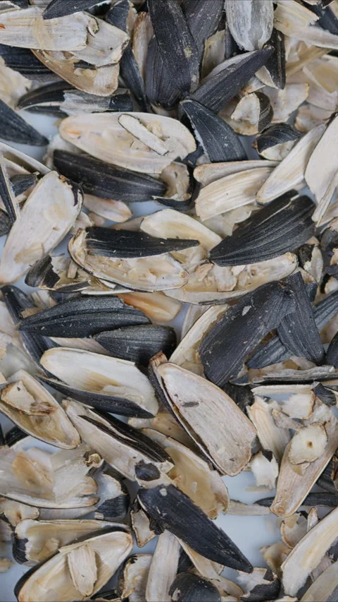 Seed shell details. Detailed macro photography capturing sunflower seed shell la Stock Footage 337334385