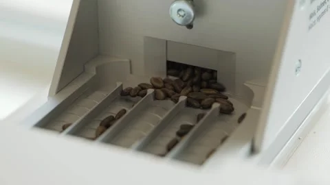 Seed sorting with seeding lines. Stock-Footage 268719773