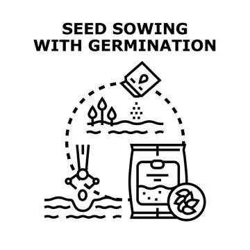 Seed sowing and germination process in agriculture concept イラスト素材
