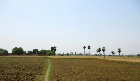 Seed Sowing process completed in-plane farmland situated in northern planes o Stock-Fotos