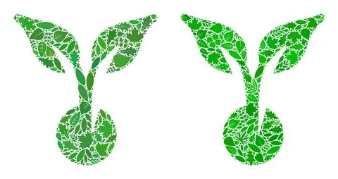 Seed Sprout Icon Botany Composition of Herbal Items Stock Illustration