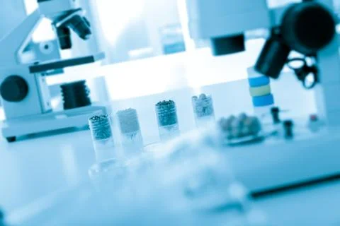 Seed subject to selection in microbiological laboratory Stock Photos