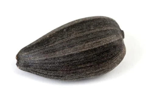 Seed of sunflower Stock Photos
