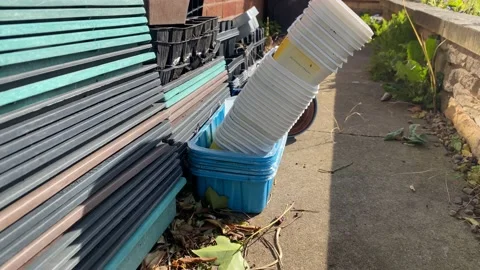 Seed Trays Stock Footage 178648735