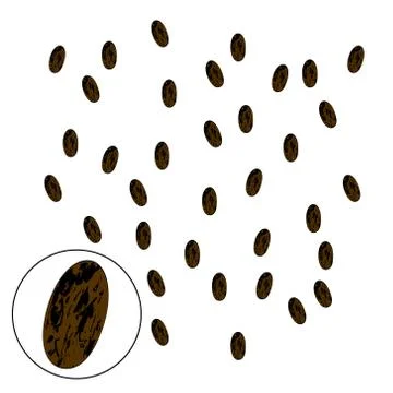 Seed Watermelon Background. Vector illustration. Agriculture, farmer Illustrazione stock