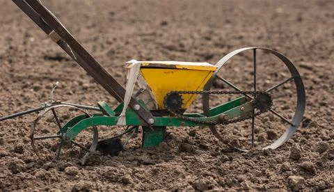 Seeder for beetroot manual single-row in the garden. Agriculture, farming, be Stock Photos