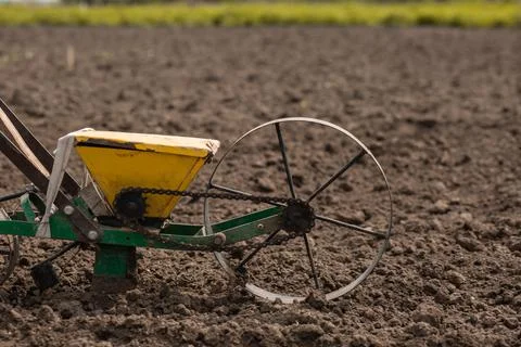 Seeder for beetroot manual single-row in the garden. Agriculture, farming, be Stock Photos