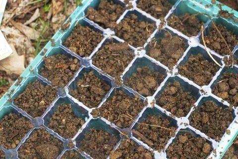A seeding container filled with soil Stock-Fotos