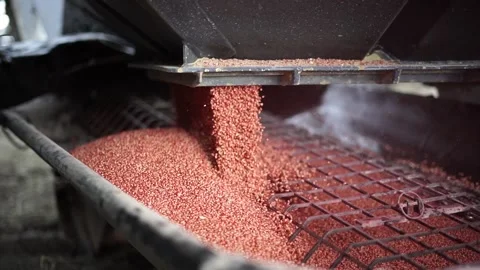 Seeding Stock Footage 165711775