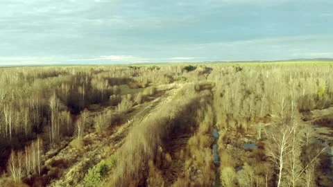 Seeding forest and meadows Stock Footage 149890806