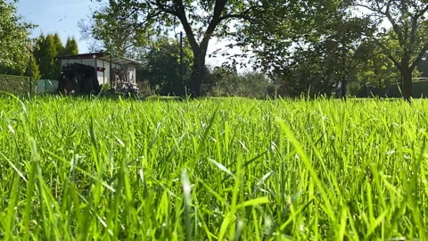 Seeding grass on new lawn Stock Footage 164918015