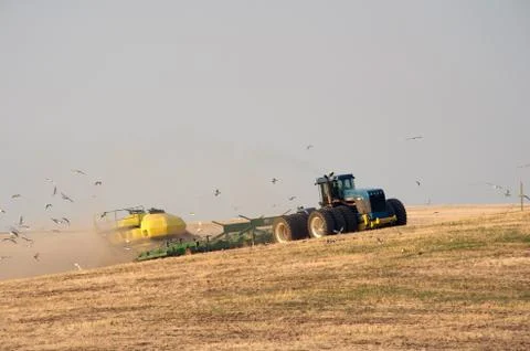 Seeding on hill side Stock-Fotos