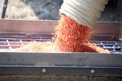 Seeding in Saskatchewan Stock Photos