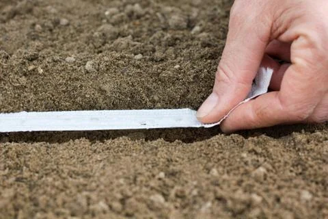 Seeding tape Stock Photos