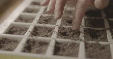 Seeding tray Prep covering holes Stock Footage 306172999